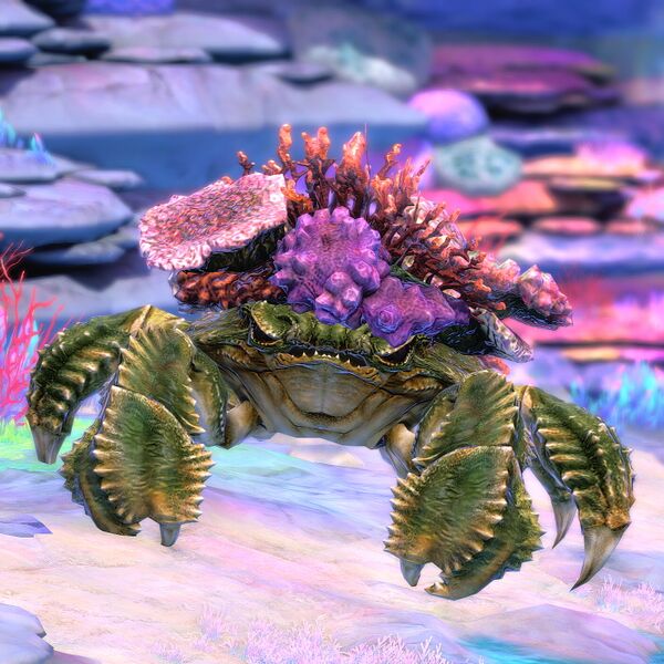 File:Restless Crab.jpeg