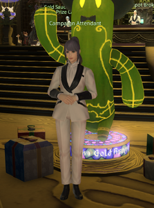 Campaign Attendant (2024)