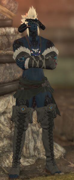 File:Daidukul fullbody.jpg