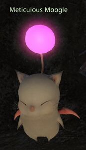 Meticulous Moogle