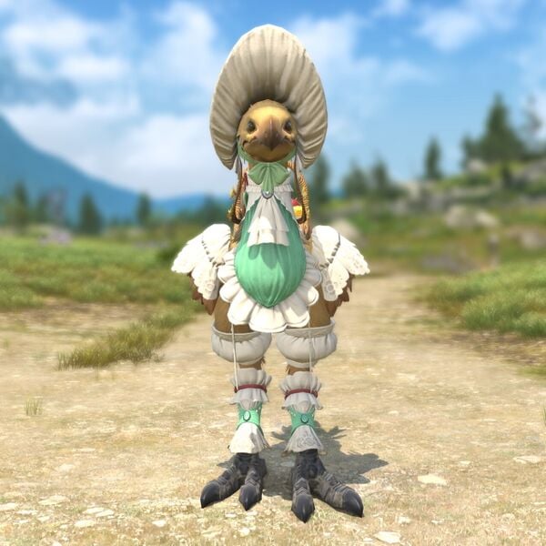 File:Picnicker's Barding Front.jpeg