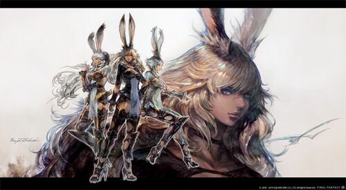 Viera Final Fantasy Xiv A Realm Reborn Wiki Ffxiv Ff14 Arr Community Wiki And Guide