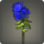Blue chrysanthemums icon1.png