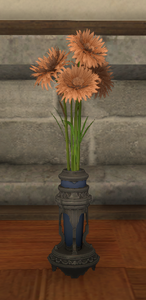 Orange Cornflowers