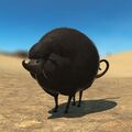 Thumbnail for version as of 03:11, 11 September 2026