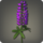 Purple lupins icon1.png