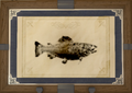 Thumbnail for version as of 02:17, 10 June 2026