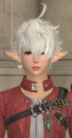 Portrait for Endwalker