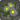 Black daisy corsage icon1.png