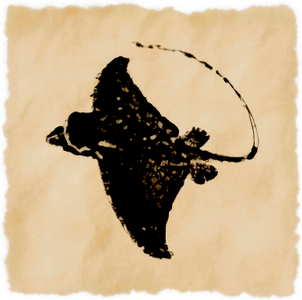 Blind Manta