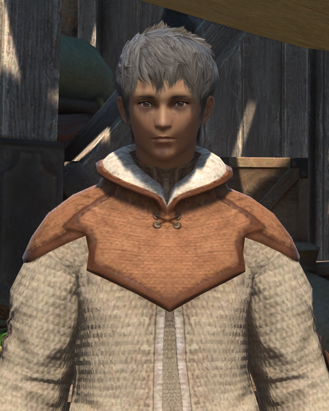 File:Petrified Pauper.png