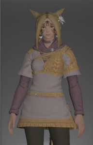 Rainmaker's Tunic front.png