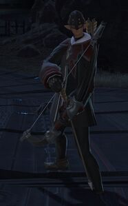 8th Cohort Sagittarius