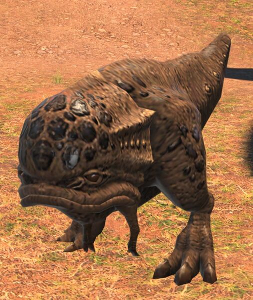 File:Jungle Lizard.jpg