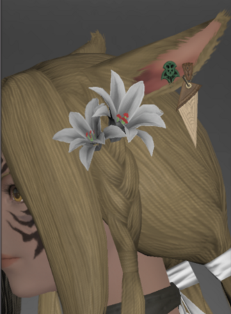 Skallic Accessories (The Drowned City of Skalla)