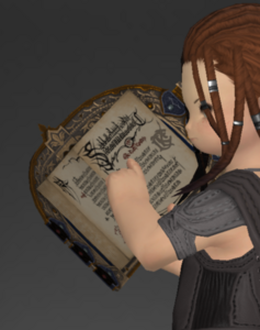 Ceremonial Codex (inside) (Scholar)