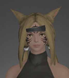 Outsider's Circlet front.png