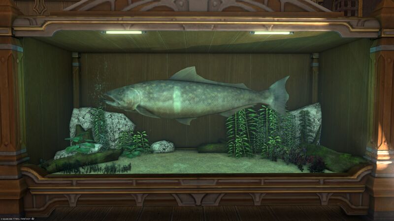 File:Aquarium Preview Giant Takitaro.jpg