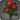 Red dahlias icon1.png
