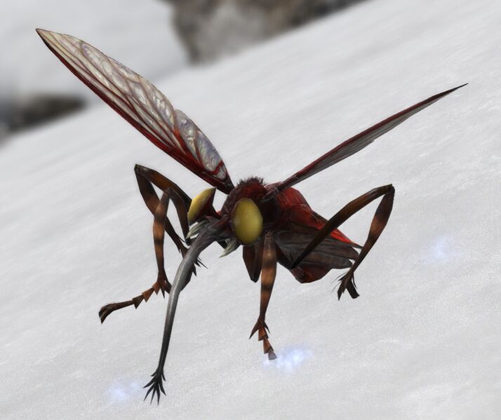 File:Parasitic Djigga.jpg