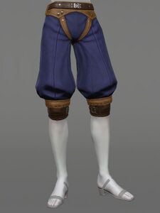 Vana'dielian Culottes of Aiming