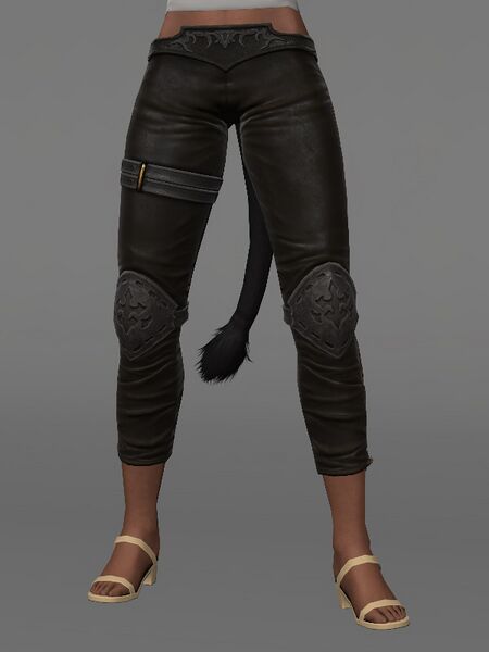 File:Hrothgar Tights Female.jpeg