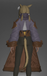 Ivalician Arithmetician's Robe rear.png