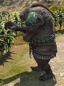 Karporger