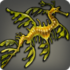 Leafy Seadragon