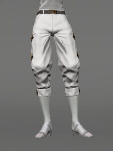 Realm-roamer's Slops