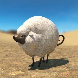 Lamb