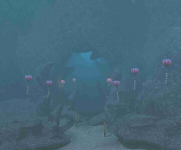 The underwater entrance