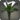 White arums icon1.png