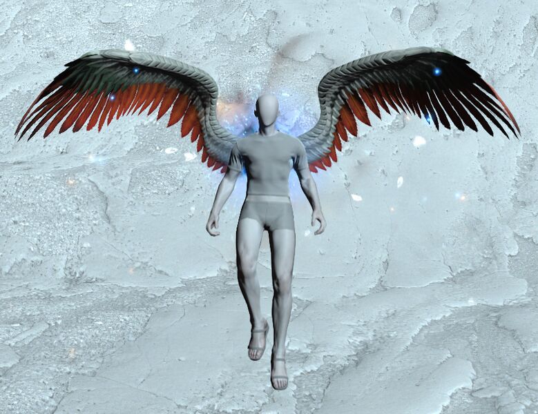 File:Wings of Ruin.jpg