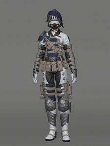 Royal Volunteer's Attire of Fending