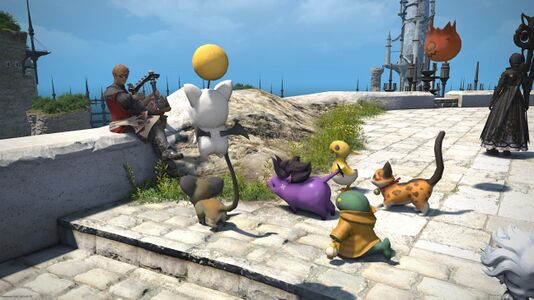 Wandering Minstrel and friends