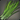 Much-better-than-usual Grass