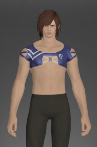Blue Summer Top front.png