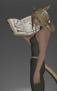 Leather Grimoire inside.png