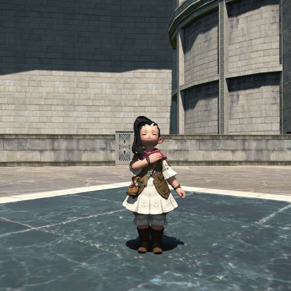 File:Salute Emote.png