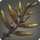 Fibrous kelp icon1.png