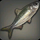 Herring Simular