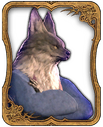 Lupin Card