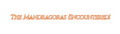 Thumbnail for version as of 23:10, 8 May 2026