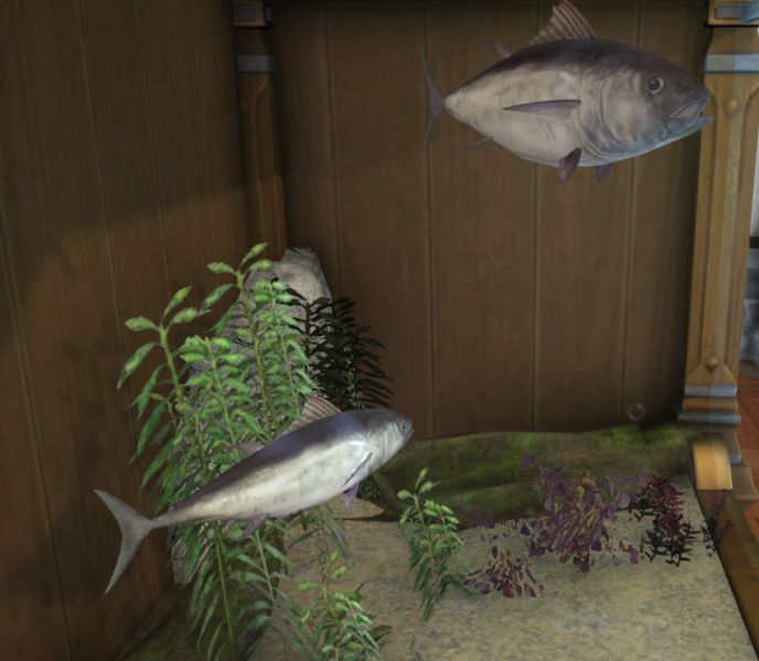 File:Glass Tuna tank.png