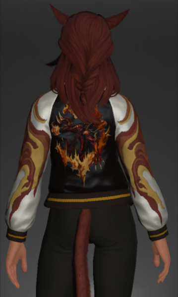 File:Inferno Jacket rear.png