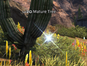 Mature tree.png