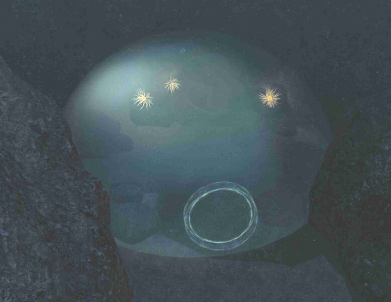 File:The Anemone Gardens Entrance.jpg