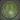 Unkiu Carapace
