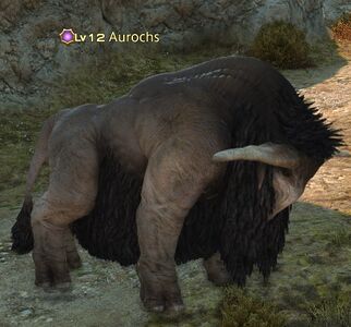 Aurochs